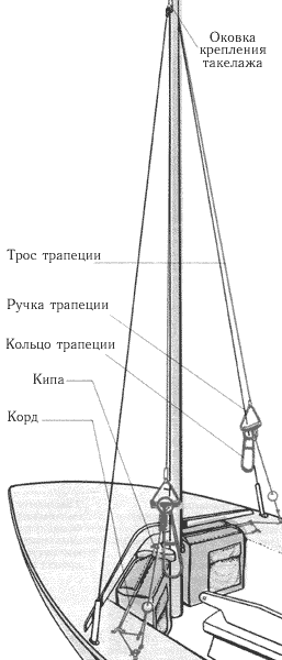 Трапеция.