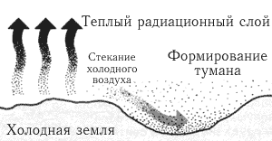 Радиационный туман формируется тихой, ясной ночью, когда дневное тепло уже ушло в атмосферу.