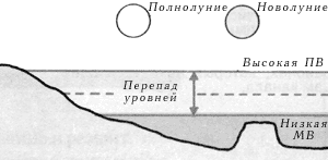 В сизигийные приливы перепад (разница высот между полной и малой водами) велик, в то время как в квадратурных приливах перепад гораздо меньше.