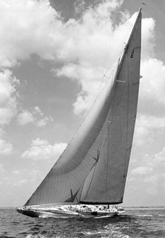 ranger1.gif (72824 bytes)