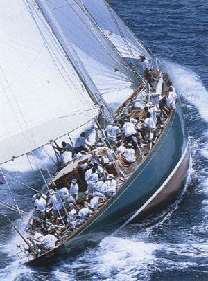 shamrockv.jpg (58607 bytes)