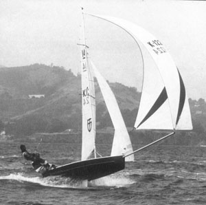 Fig3.JPG (17737 bytes)